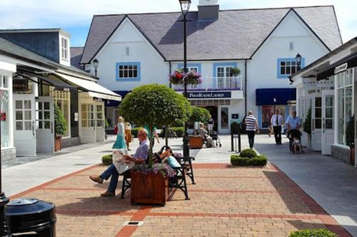The Killeshin Hotel Portlaoise - image 11