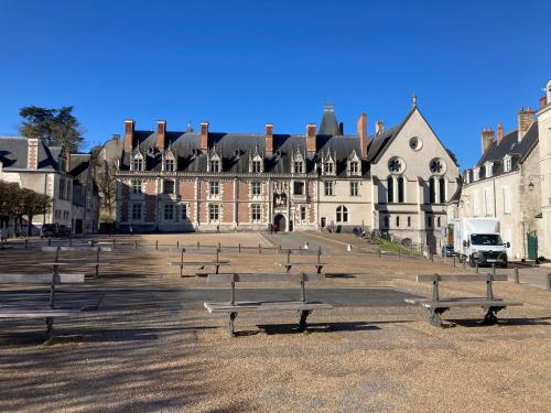 La Loire et ses châteaux avec vos proches - Location saisonnière - Blois