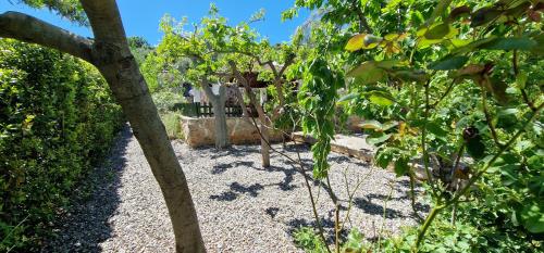Trullo Grande Noce – Cisternino