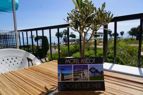 MOTEL ASCOT - Hotel & Appartements - image 7