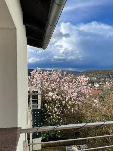 Ferienhaus Chalet Andante in Hann. Münden, Deutschland