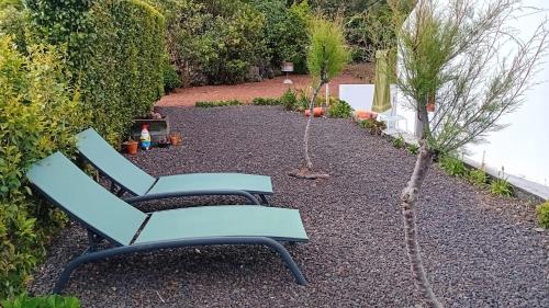 Sunflower Guest House - Madalena - Pico in เซา กาเอตาโน