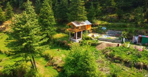 Stargazing Treehouse Himachal