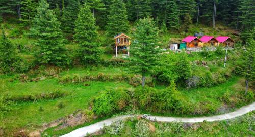 Stargazing Treehouse Himachal