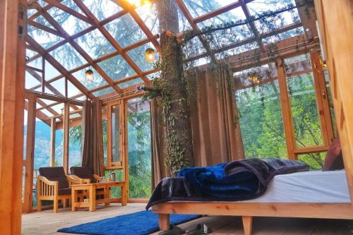 Stargazing Treehouse Himachal