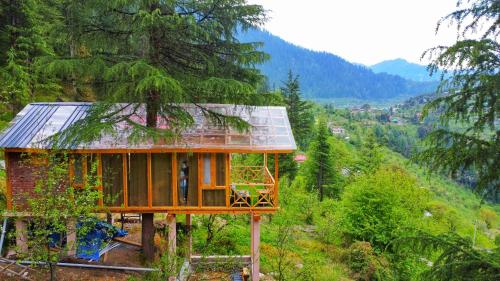 Stargazing Treehouse Himachal