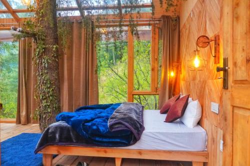 Stargazing Treehouse Himachal