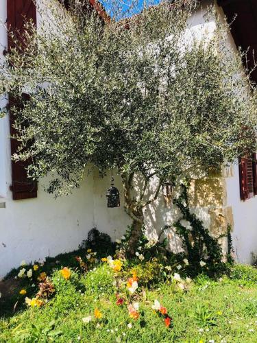 Gîte au coeur de la Nature