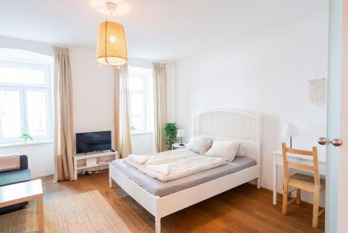 Vienna City Apartment Petrusgasse 5
