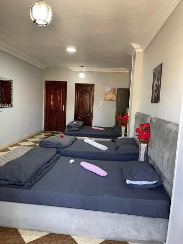 Explore Stars Pyramids View - image 11