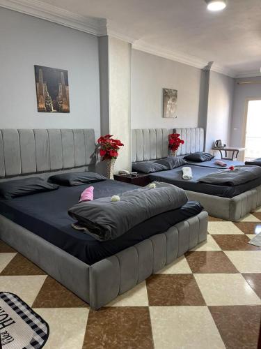 Explore Stars Pyramids View - image 7