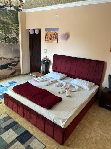 Explore Stars Pyramids View - image 13