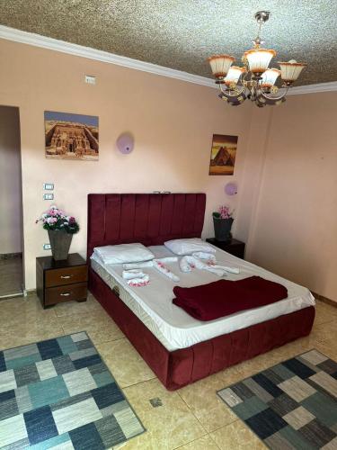 Explore Stars Pyramids View - image 10