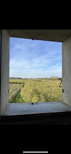 GARD Gîte d'ysée au milieu des vignes