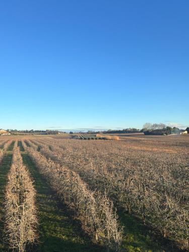 GARD Gîte d'ysée au milieu des vignes