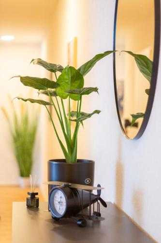 Spacious Apartment near Messe - Special EINSTEIN I Apartment, Basel, up to 6 guests, Basel (Foto 7)