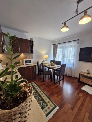 Apartament11 Brzozowa 5minut Krupówki, garaż, Zakopane