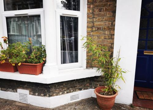 1 Bed Victorian flat Sleeps 4 - Garden & Patio