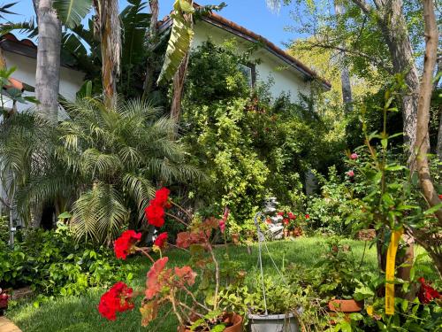 Mediterranean Villa Pool & Jacuzzi & BBQ Malibu & Hollywood Bliss