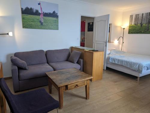 Large studio with terrace for up to 4 people, Paris