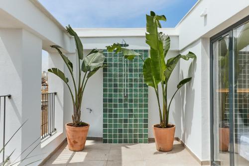 El Pont Alicante Apartments 5