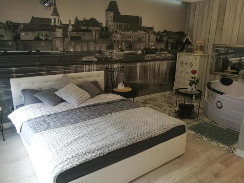 Apartament jacuzzi na toruńskiej starówce