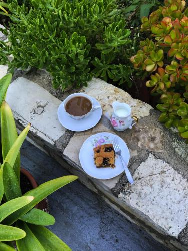 Guest house Villa Blue Marine - image 14