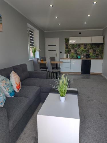 Apartament U Bosmana