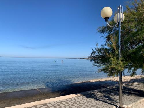 Beach & Garden, Zadar (zdjęcie 2)