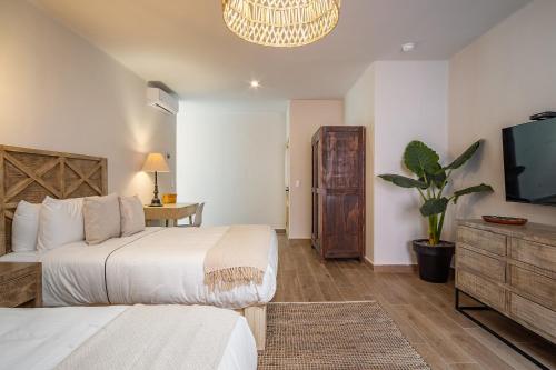 Casa Pandurata Luxury Apartments in Centro, San Miguel de Allende