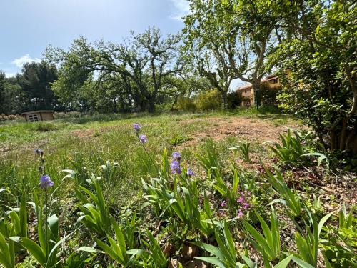 Havre de paix au sein d'un T3 d'une bastide aixoise Havre de paix au sein d'un T3 d'une bastide aixoise