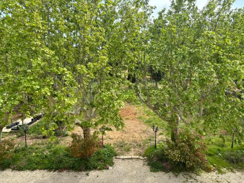 Havre de paix au sein d'un T3 d'une bastide aixoise Havre de paix au sein d'un T3 d'une bastide aixoise