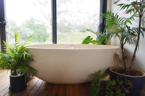 Beachside Family Surf Retreat in Dodges Ferry