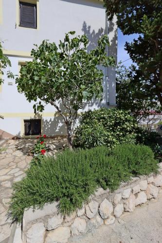 Apartments with a parking space Pag - 18345 - image 12