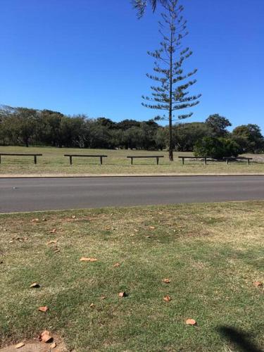 Puppies&Pancakes at Innes Park Opposite Park&Beach