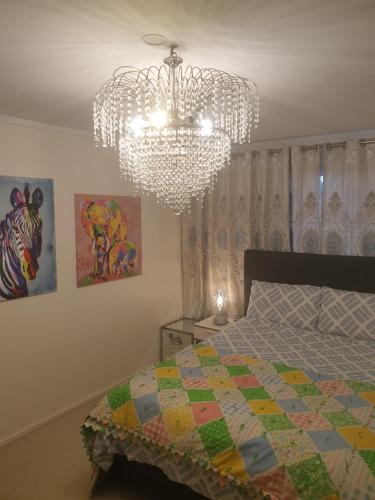 1 Exclusive to International Travellers Only Book Now R1, Auckland (Foto 11)