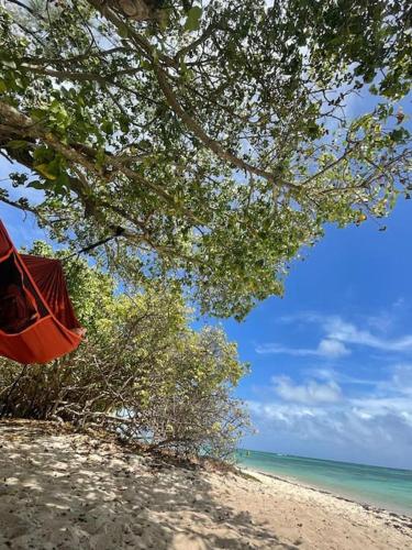 Villa Rose des Caraibes - 200m de la plage