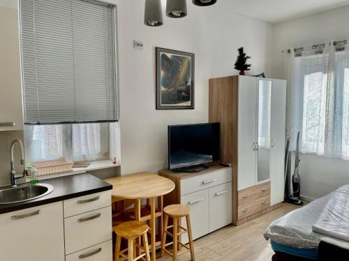 Apartments Ines - cozy studio