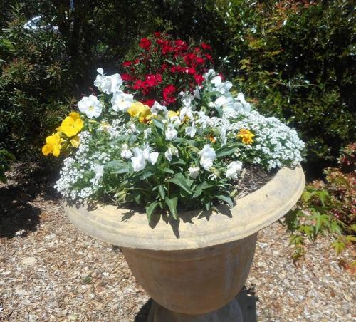 Grace Cottage - Free Wi-Fi, Foxtel,Central Heating, Katoomba (foto 5)