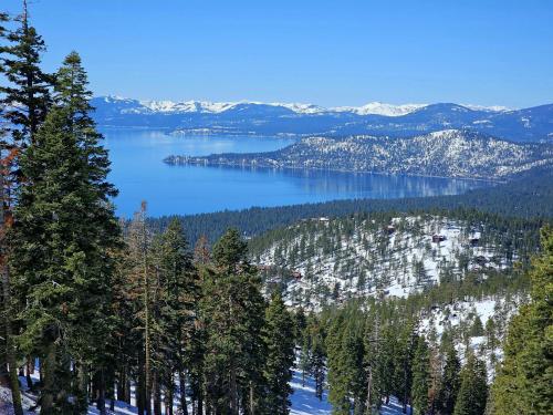 Inn at South Lake Tahoe - 주변 환경