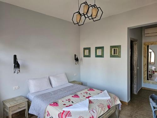 Standard Double Room room in Shams Hotel & Dive Centre