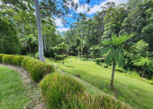 Coffs Coast Mountain Retreat