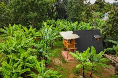 Meru Eco Hideaway