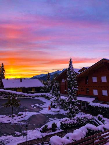 Studio cosy au calme avec terrasse vue sur Alpes in Crans Montana