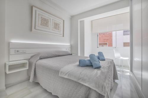 Apartamentos Haranas II & Parking, Córdoba (fotografie 7)