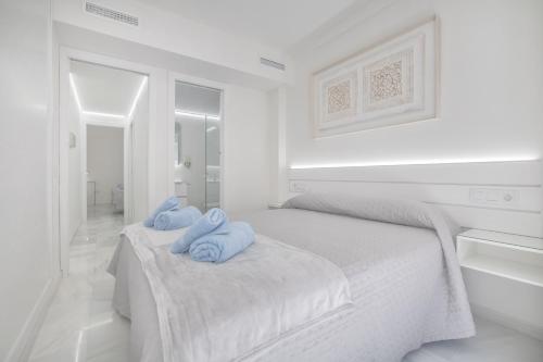 Apartamentos Haranas II & Parking, Córdoba