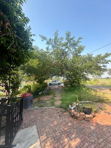 Garden, 385 Lake in Pichit