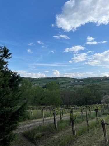 Podere VignaLago