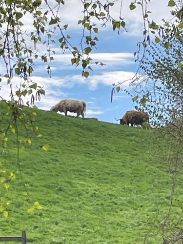 Ferien und Freizeithof Engelau - Zi 3