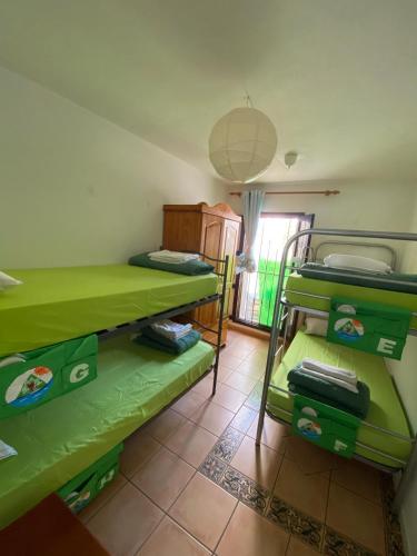 The Best House Tenerife Habitaciones Compartidas 3